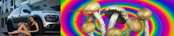 прущий лед Бронницы