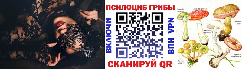 Галлюциногенные грибы MAGIC MUSHROOMS Очёр